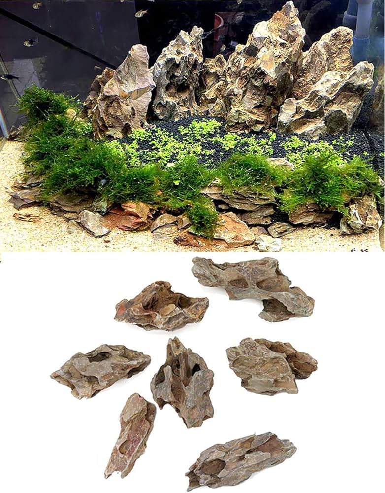 Amazon | 気孔石 黄虎石 蜂炎石 水槽 アクアリウム 花壇 ガーデニング