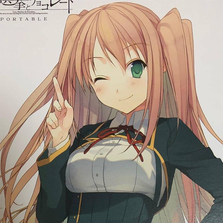 Amazon.co.jp: 恋と選挙とチョコレート 住吉千里 A5 サイズ 特大 イ