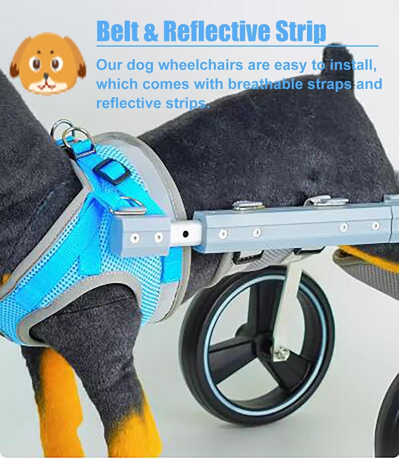 ☆ 女王蜂 聖戦 ロゴ刺繍 スウェット トレーナー ☆ 女王蜂 聖戦 ロゴ