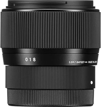 Amazon.co.jp: シグマ(Sigma) レンズ 56mm F1.4 DC DN Sony ソニー E