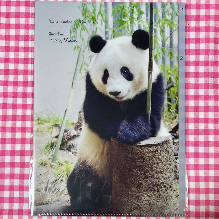 上野動物園 シャオシャオレイレイクリアファイル シャンシャン弟妹②