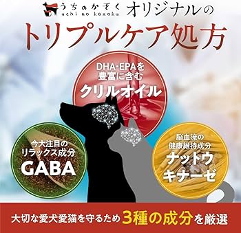 うちの脳活サポート 30粒入り 6袋 うちの脳活サポート | うちのかぞく