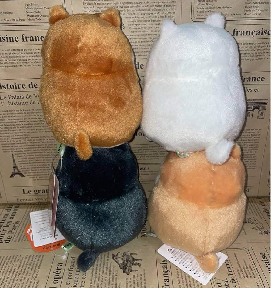 柴のふとし STコンプリート 柴のふとし STコンプリート