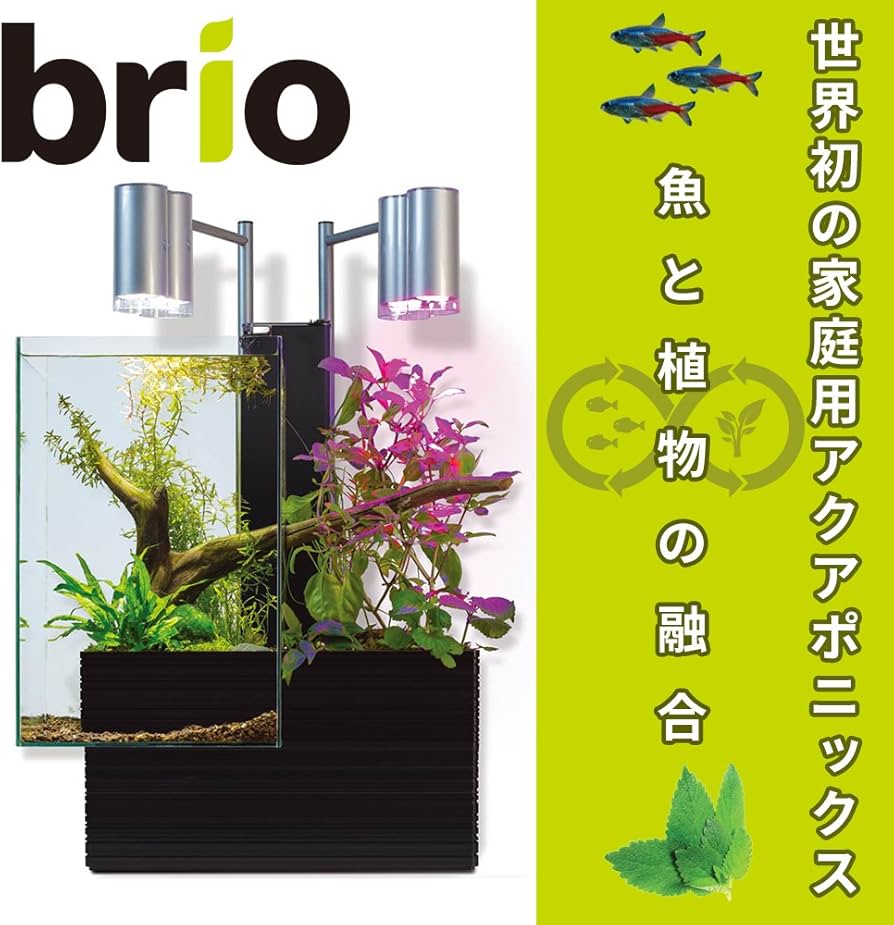 Amazon | brio(ブリオ) 水槽 35 50Hz仕様 黒 | brio(ブリオ) | 水槽 通販