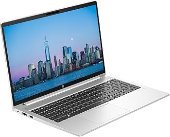 Amazon.com: HP ProBook 450 G10 Business Laptop, 15.6