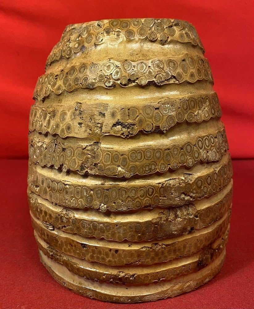 Amazon.co.jp: 茶道具『稲塚花入如心斎好写』共箱竹根製自然の美竹工芸