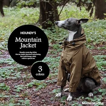 Amazon | マウンテンジャケット【イタリアングレイハウンド 服