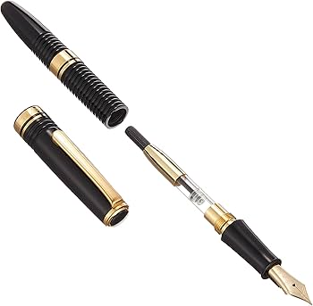 Amazon | PLATINUM プラチナ万年筆 #3776ギャザード ブラック 中字 PTB