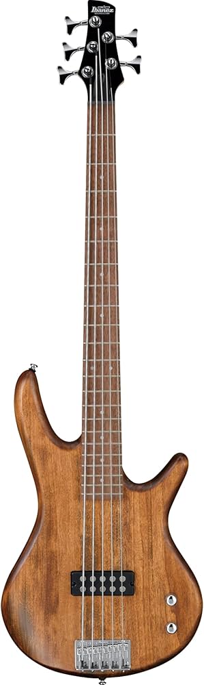 Amazon | Ibanez(アイバニーズ) GIOシリーズ 5弦エレキベース Mahogany