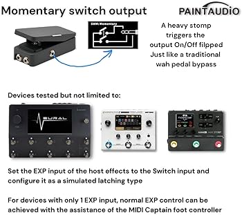 Paint Audio フットキャプテン デュアル出力 エクスプレッションペダル