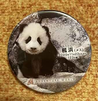 n*5様 楓浜カラーメダル キーホルダー枠付き アドベンチャーワールド