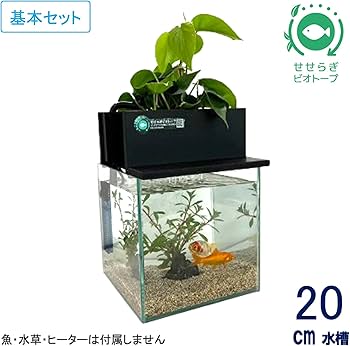 Amazon | せせらぎビオトープ 水替え不要【水槽セット】 20cm型 【色