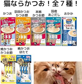 Amazon | 猫 プレゼント ギフト いなば CIAO ちゅーる 猫 全種