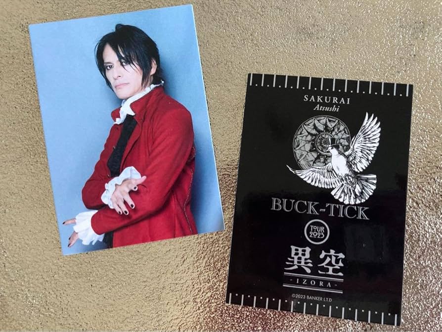 新品未開封】BUCK-TICK 異空ツアーグッズ 櫻井敦司 枕カバーSタイプ
