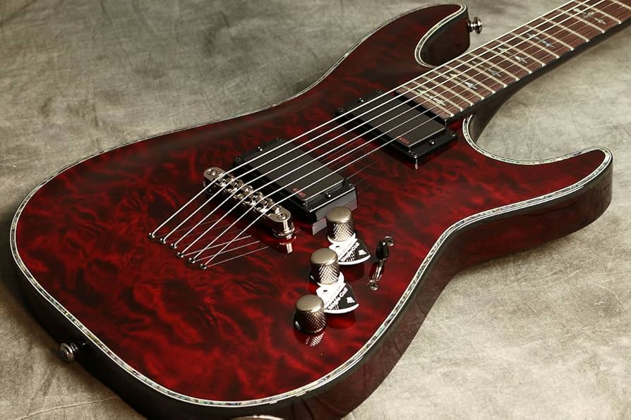 Amazon | SCHECTER シェクター エレキギター HELLRAISER C-1 BCH