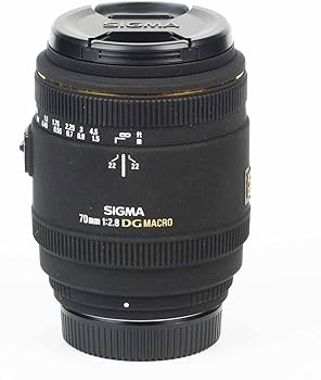 Amazon.com : Sigma 70mm F/2.8 EX DG Macro Lens for Nikon Digital