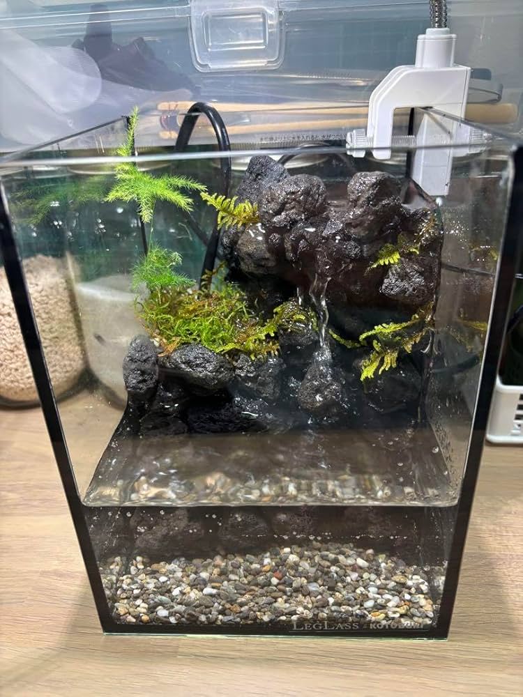 アクアテラリウム 滝 15センチ水槽 オーダーメイド】滝のあるアクア