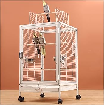 Amazon | FX-SHYQYYMZ クリアアクリル鳥かご 複数飼い大型インコ