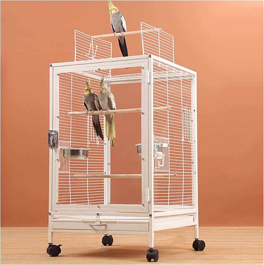 Amazon | FX-SHYQYYMZ クリアアクリル鳥かご 複数飼い大型インコ