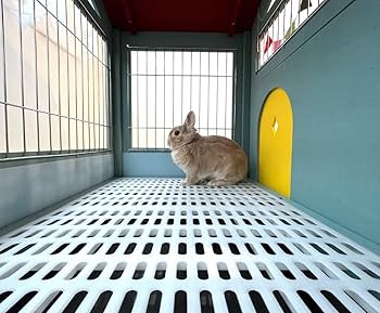 Amazon | アウトレット 組立品 北欧デザインペットハウス うさぎ