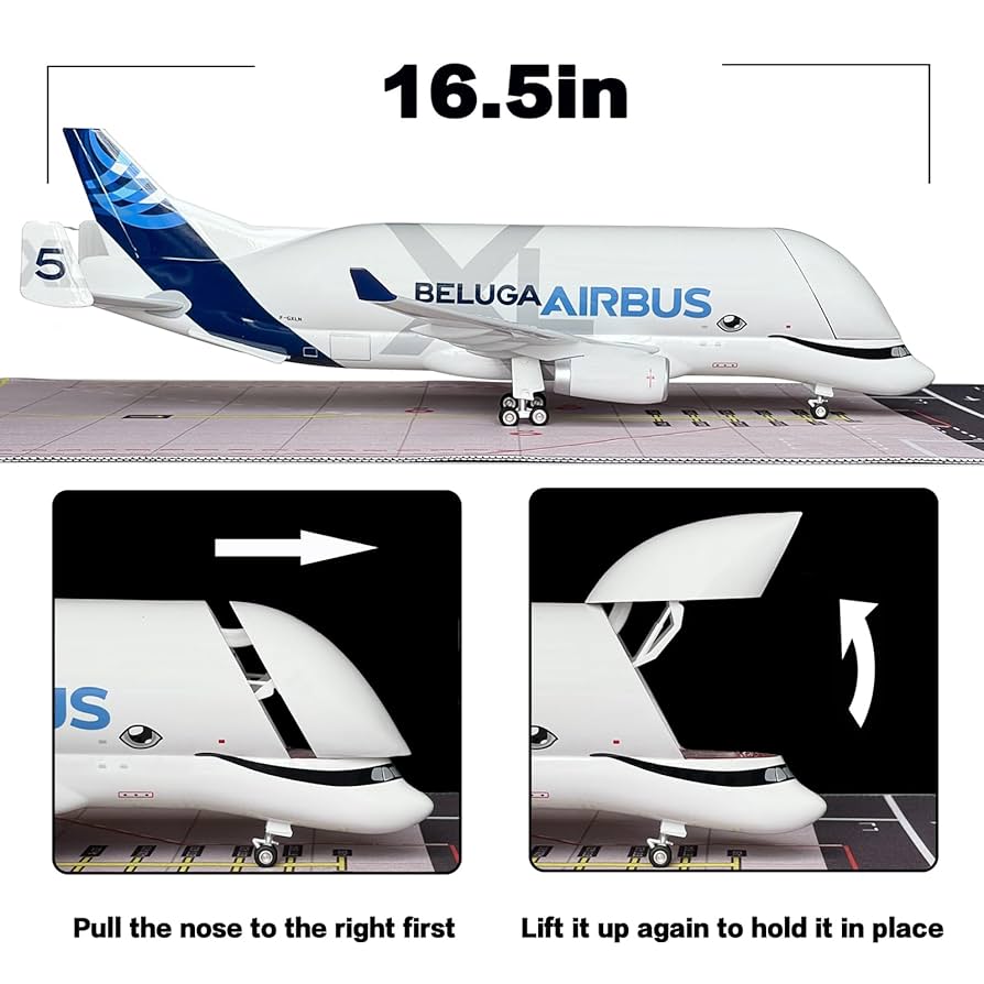 5/2着…ベルーガXL.／Airbus 1/150=約42cm 5/2着…ベルーガXL.／Airbus 1