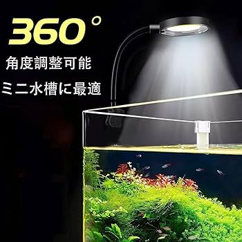 Amazon.co.jp: 小型水槽 クリップライト LED ミニ アクアリウム 水槽