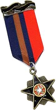 Amazon.co.jp: バッジ ミリタリー 勲章 赤 紺 茶色 スターch14 勲章