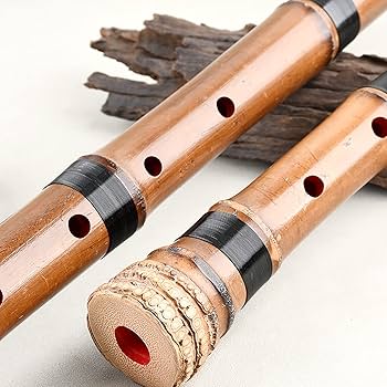 Amazon | Jinchuan 尺八 1尺8寸 D管 尺六 1尺6寸 E管 琴古流 高級管