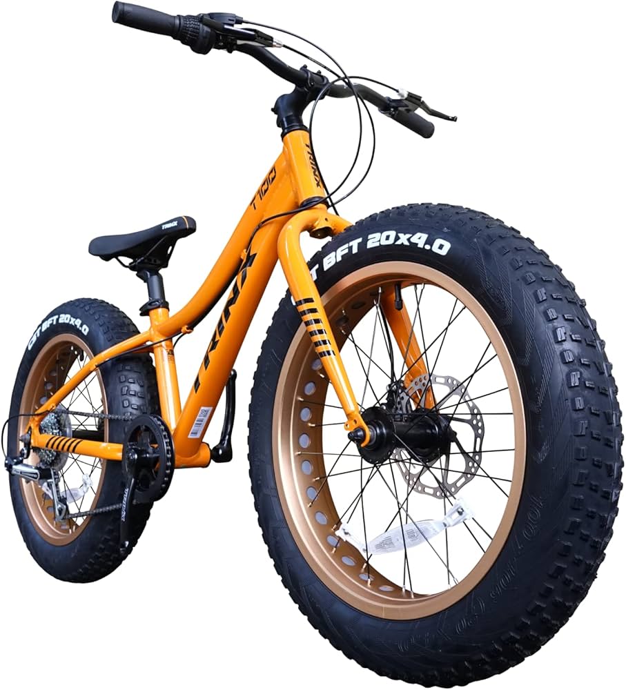 Amazon | TRINX(トリンクス) ビーチクルーザー ファットバイク さらに