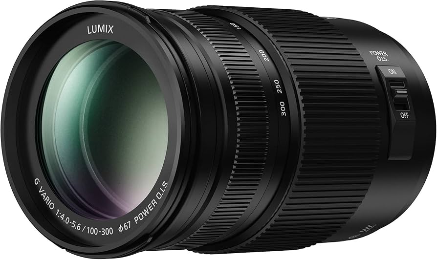 Amazon.com : Panasonic LUMIX G II Vario Lens, 100-300MM