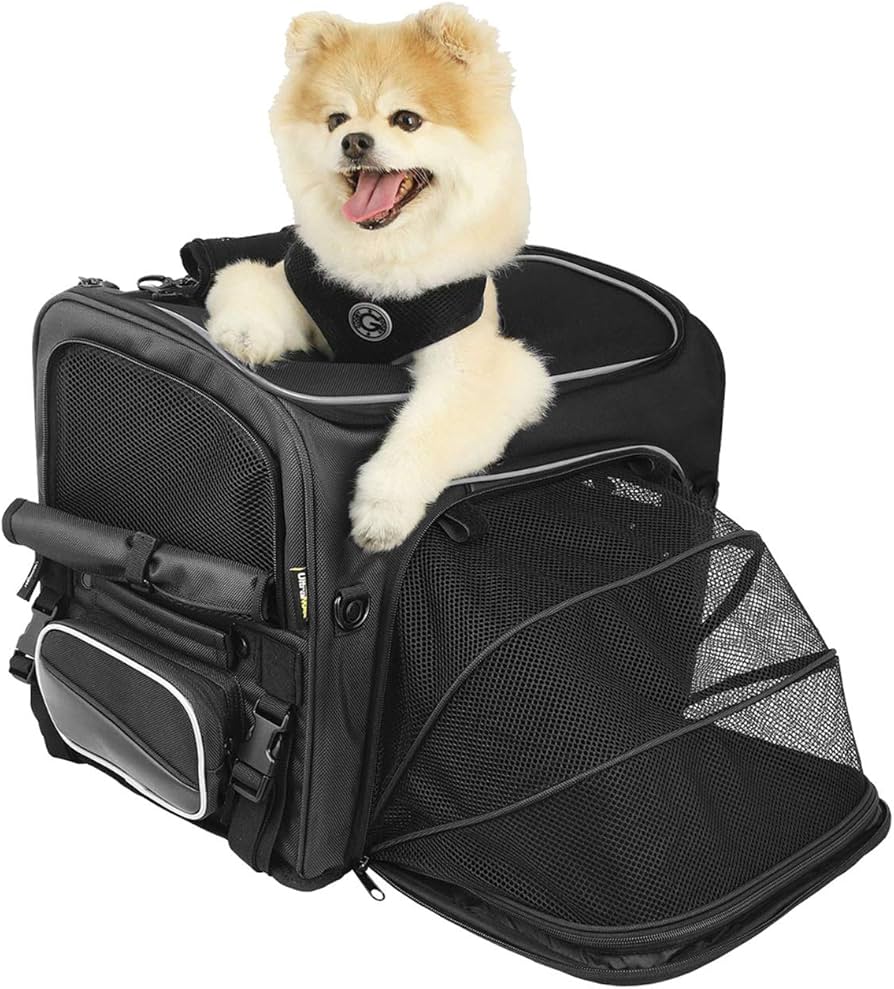 Amazon.co.jp: Nelson-Rigg Route 1 Roverペットキャリア:耐候性