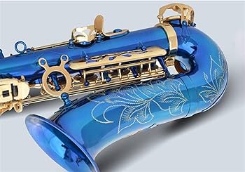 Amazon.co.jp: KLKL サックス 電子フラットアルトサックススカイブルー