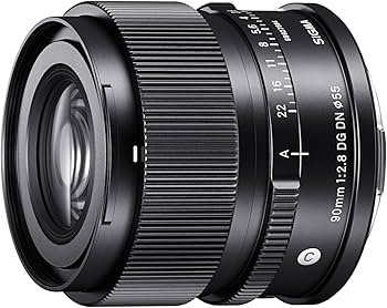Amazon.com : 90mm F2.8 DG DN for Sony E : Electronics