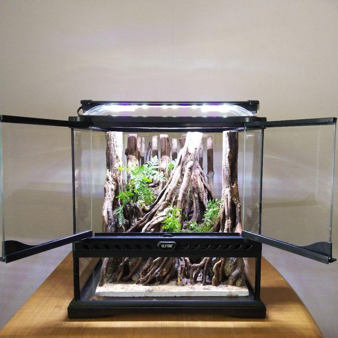 受注生産】 グラステラリウム3030 イモリウム 苔テラリウム 受注生産