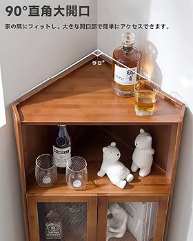 71oSLXZh1lL._AC_UF350,