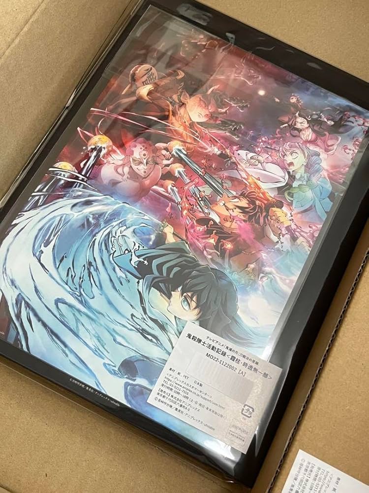 鬼滅の刃 鬼殺隊士活動記録 ポスター 時透無一郎 Amazon.co.jp: 鬼殺隊