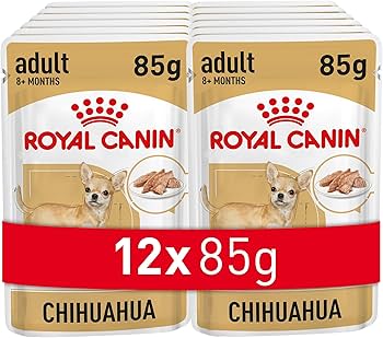 CANIN チワワ専用ドライフード 12kg チワワ 専用フード 中・高齢犬用