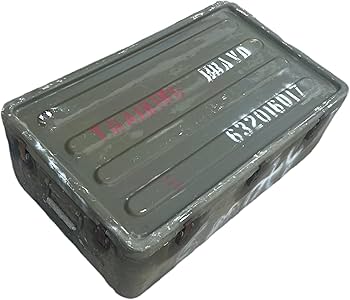 71oxd2C7lBL._AC_UF350,