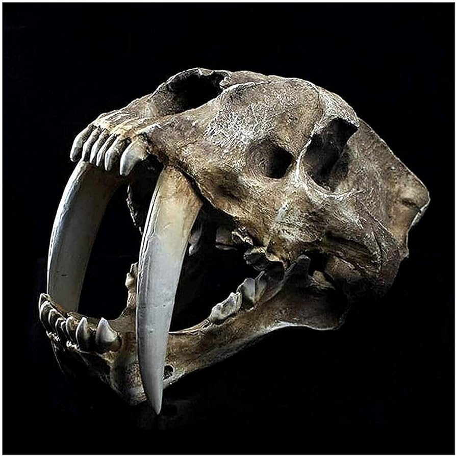 Amazon.co.jp: 教育モデル、タイガーモデルレジン、スカルタイガー