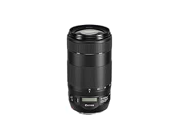 8月5日限定価格【超望遠レンズ】Canon EF 100-300mm USM 8月5日限定