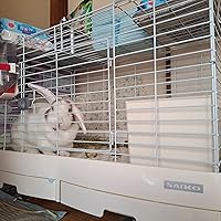 Amazon | 三晃商会 SANKO 小動物 組み立て C62 イージーホーム エボ