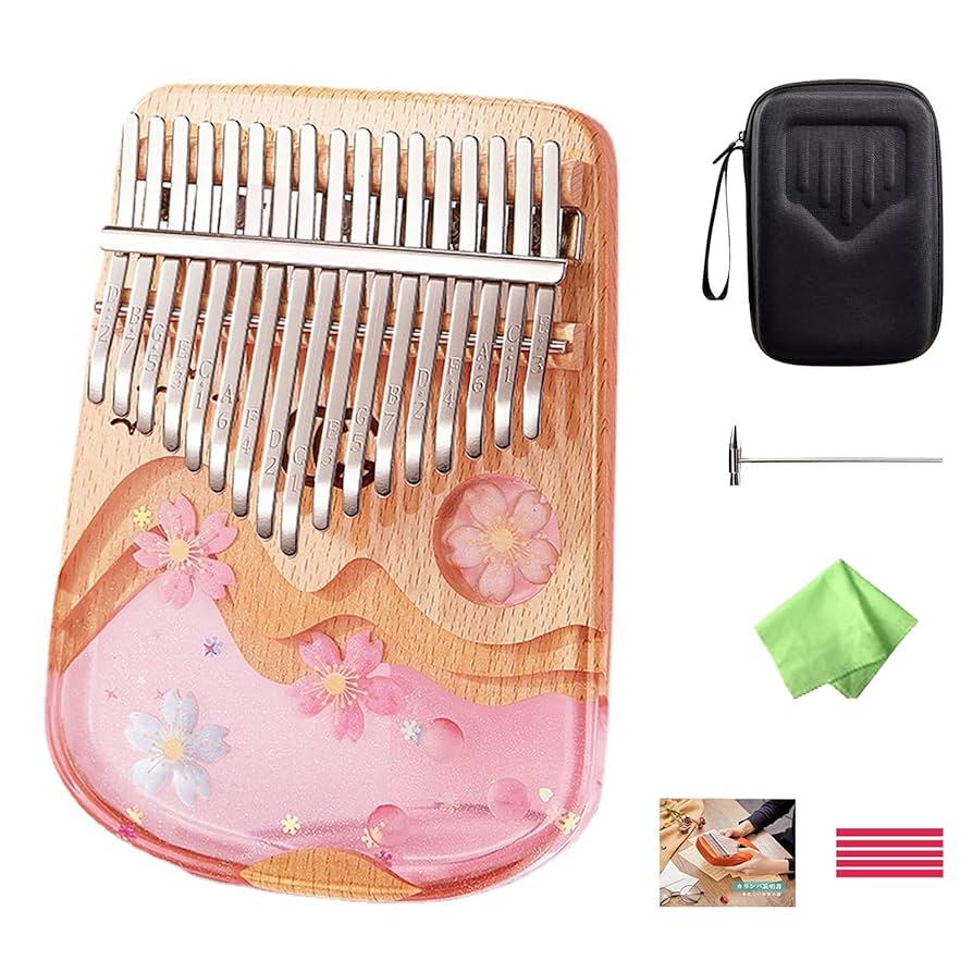 ザ ピアノ バッハ編 DVD17巻セット ザ ピアノ バッハ編 DVD17巻セット