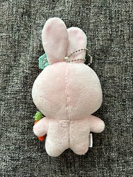Amazon.co.jp: SEVENTEEN ボンボンイ うさぎ ぬいぐるみ マスコット