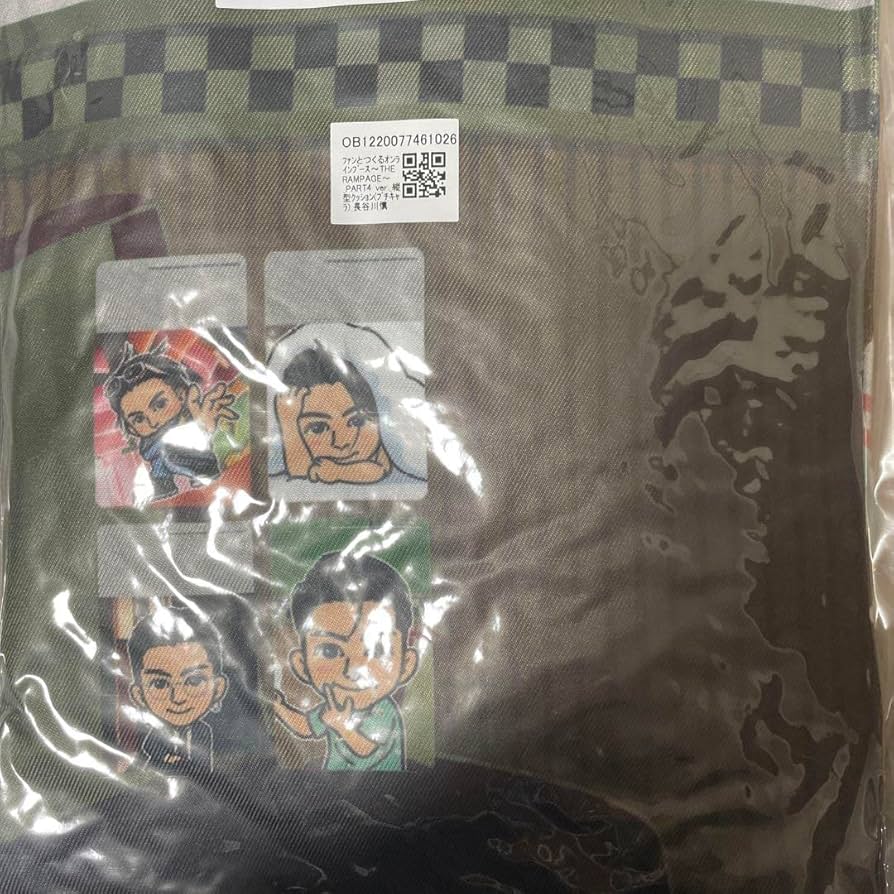 出回りなし】長谷川慎 BDクッション 【公式通販】