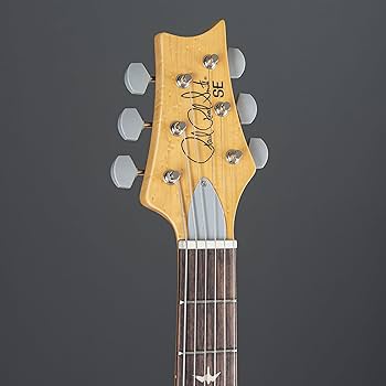 Amazon | PRS SE Parlor w/Fishman エレアコ アコースティックギター