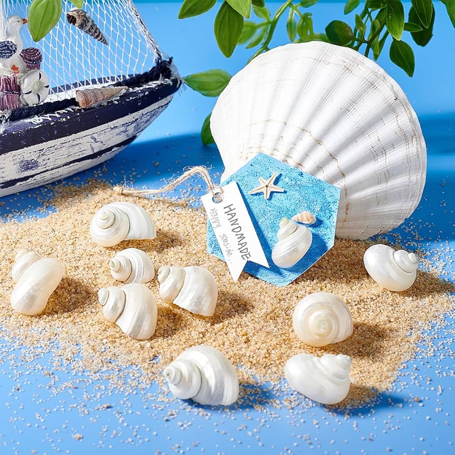 71q6Nybm0XL._AC_UF894,