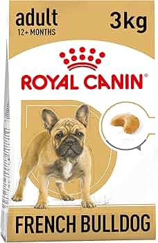 71q8v5IPvKL._AC_UF350,