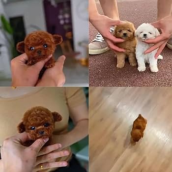 Amazon.co.jp: 本物の子犬のように振る舞うの子犬、2025年の新しい