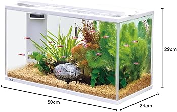Amazon | ジェックス GEX AQUARIUM サイレントフィット アルファ 500