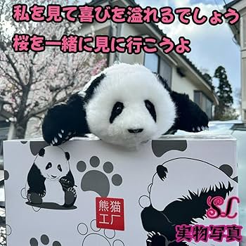 Amazon.co.jp: 三月の和花パンダぬいぐるみ 中国で人気No.1ファー